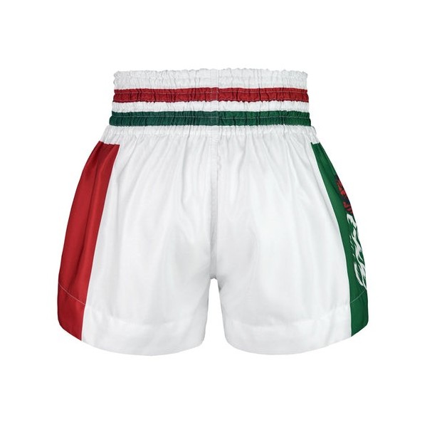 THAI BOX SHORT TRADITIONEEL - TUFF 