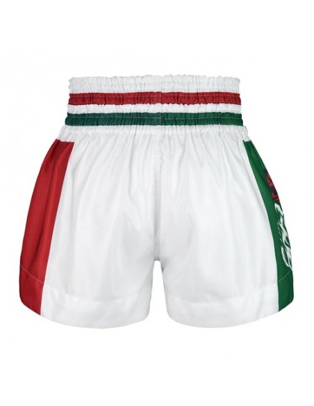 THAI BOX SHORT TRADITIONEEL - TUFF 
