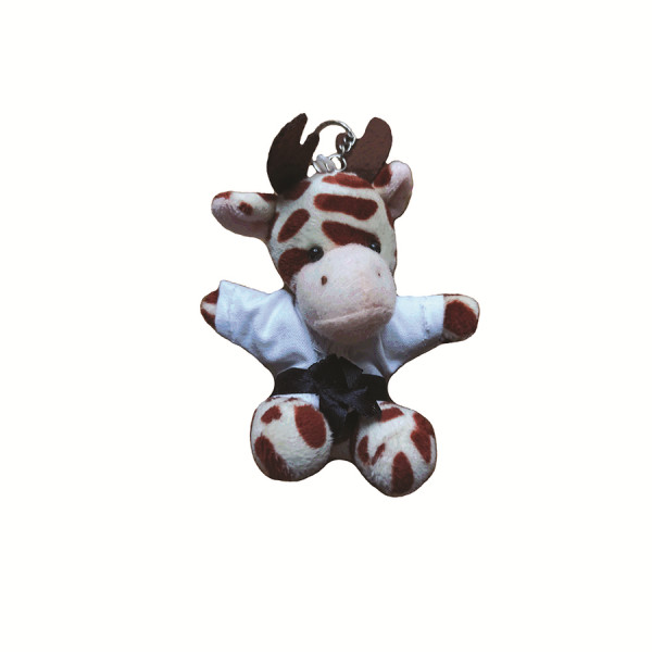 Karate Animal key ring  