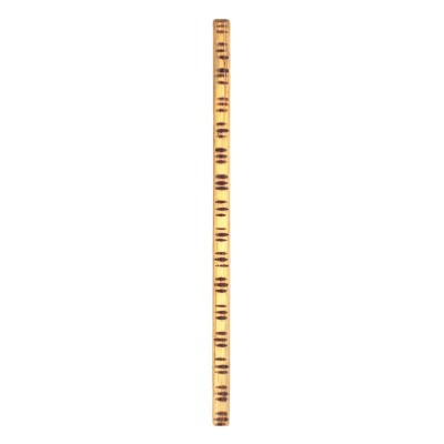 Arnis Stick Rattan