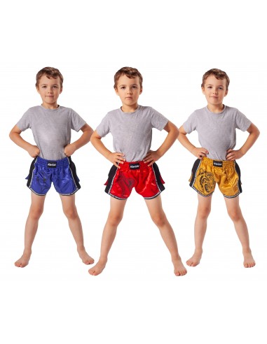 Kids Thai Box Shorts   