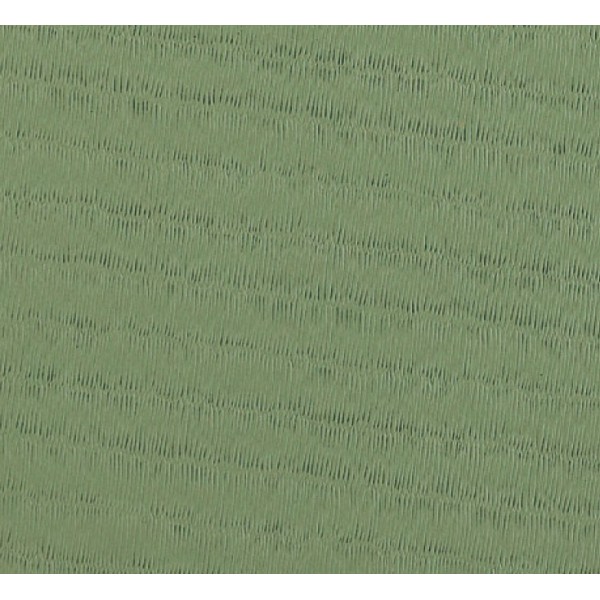 RHODE TATAMI Judo Mat Kasei RG 200