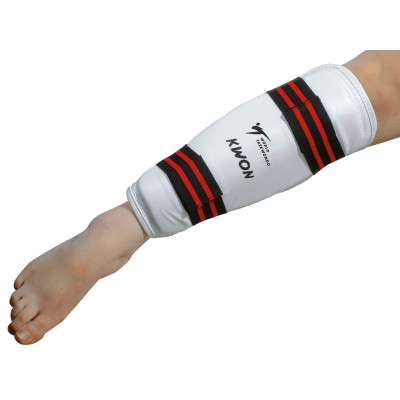 Shin Guard Evolution WT recognized  2