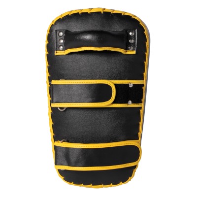 Arm Mitt Muay Thai  2