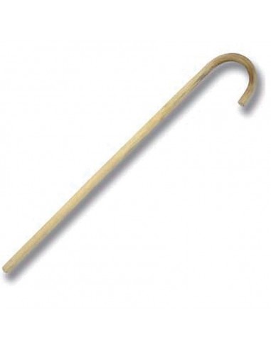 Cane with round handle 