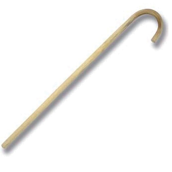 Cane with round handle 