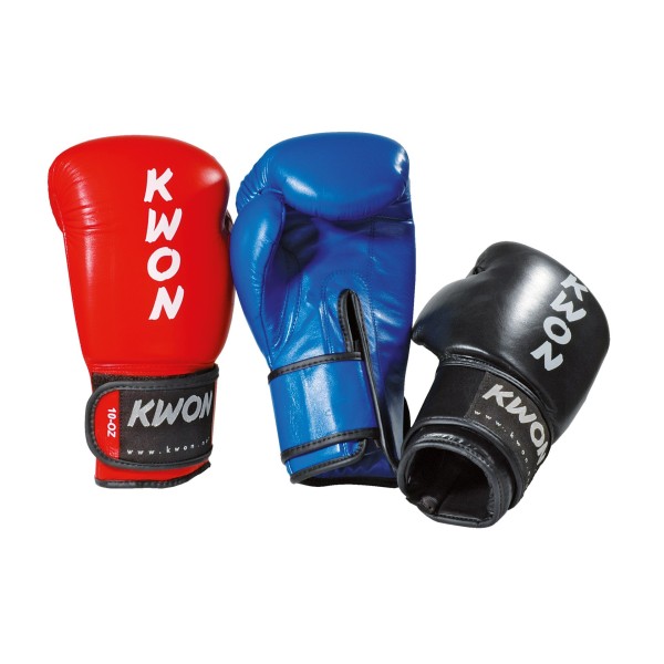 Boxing Glove Ergo Champ 10 oz  