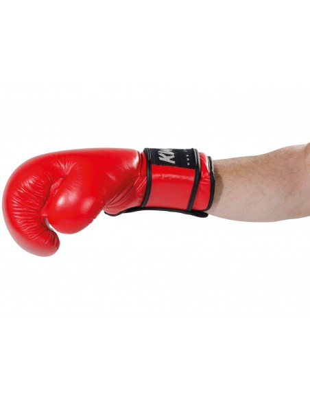 Gant de boxe Ergo Champ 10 oz   Gant de boxe Ergo Champ 10 oz