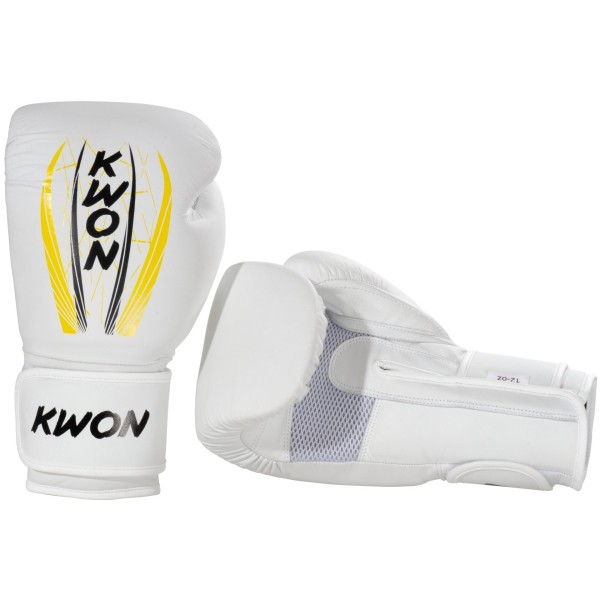 Boxing Gloves Kick Thai