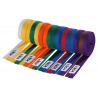 Budo Belt 2-colours  