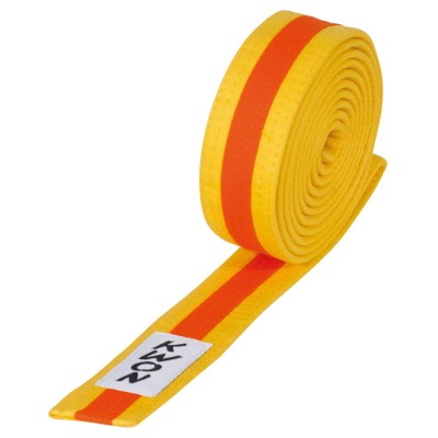 Multicolored Budo Belt   2