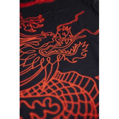 Dry fit DRAGONS  2