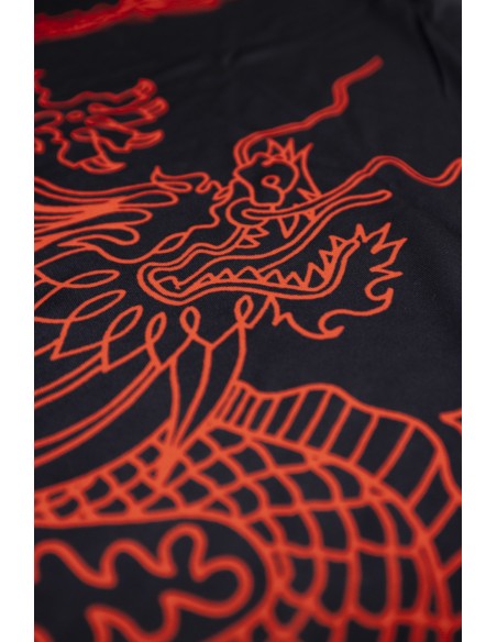 Dry fit DRAGONS  Dry fit DRAGONS