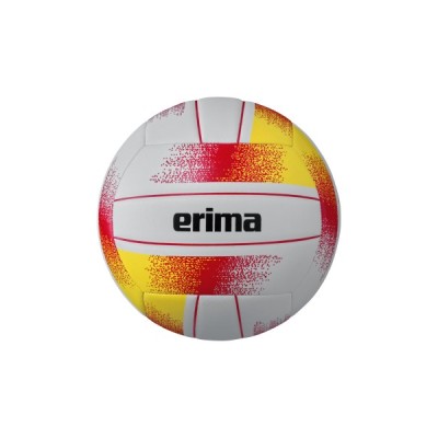 Ballon de Volley-ball Allround
