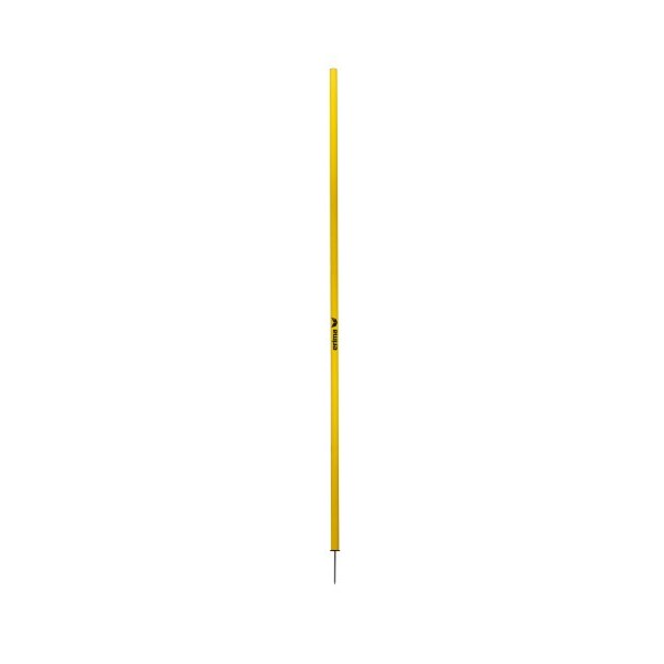 Slalom pole with peg 