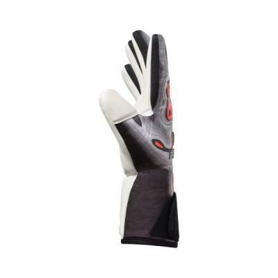 FleX-Ray Pro  2