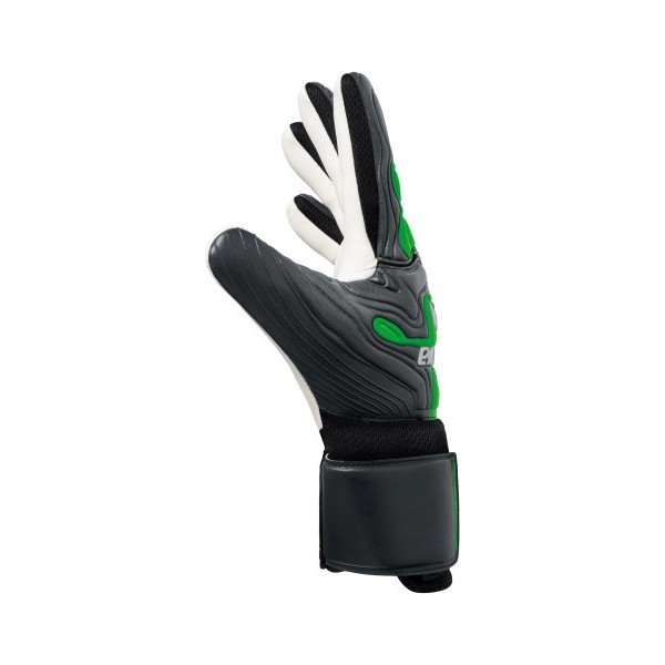 FleX-Ray New Talent FS 