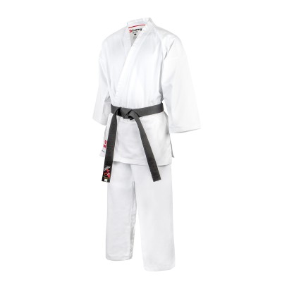 Karategi trainen