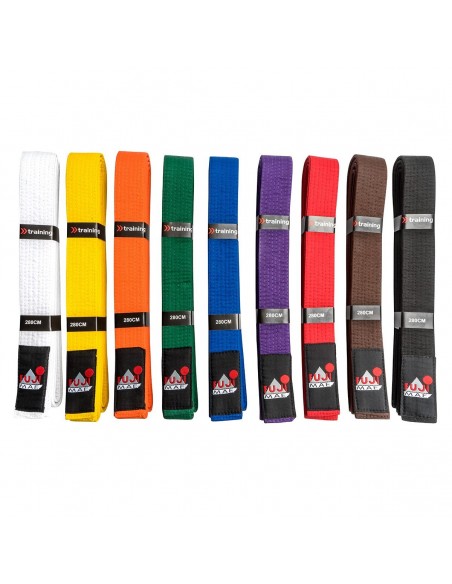 Martial Arts Belt  