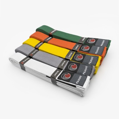 BJJ Belt   2