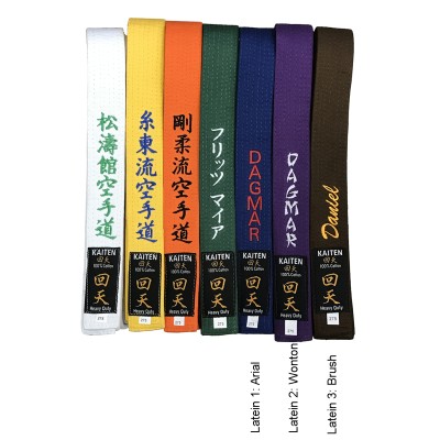 KAITEN belt   2