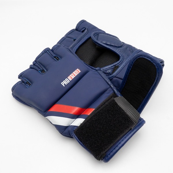 ProSeries 2.0 Leather MMA Gloves