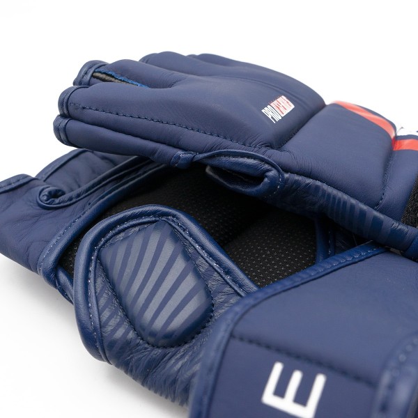 ProSeries 2.0 Leather MMA Gloves