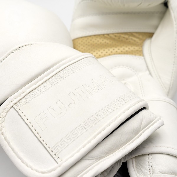 Advantage 2 Leather Boxing Gloves QS