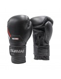 Gants Boxe ProSeries 2.0 Cuir