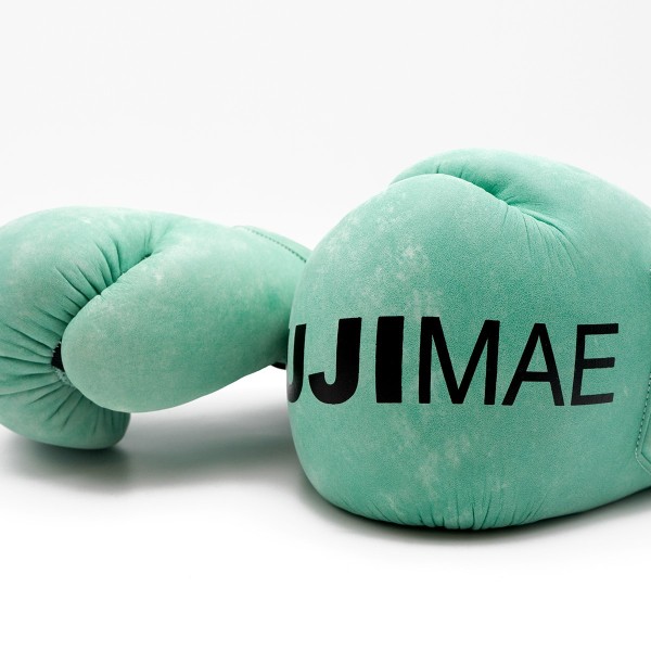 FUJIMAE Vintage Leather Boxing Gloves QS