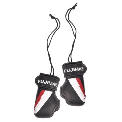 Replica Gants Boxe FUJIMAE