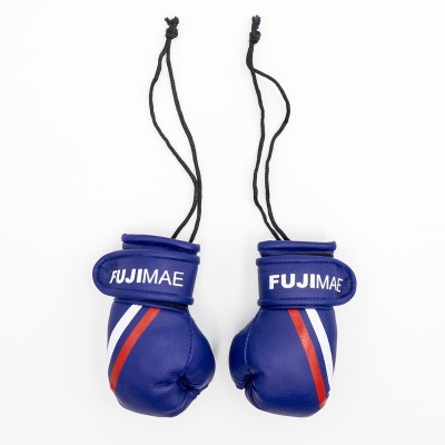 Replica Gants Boxe FUJIMAE  2