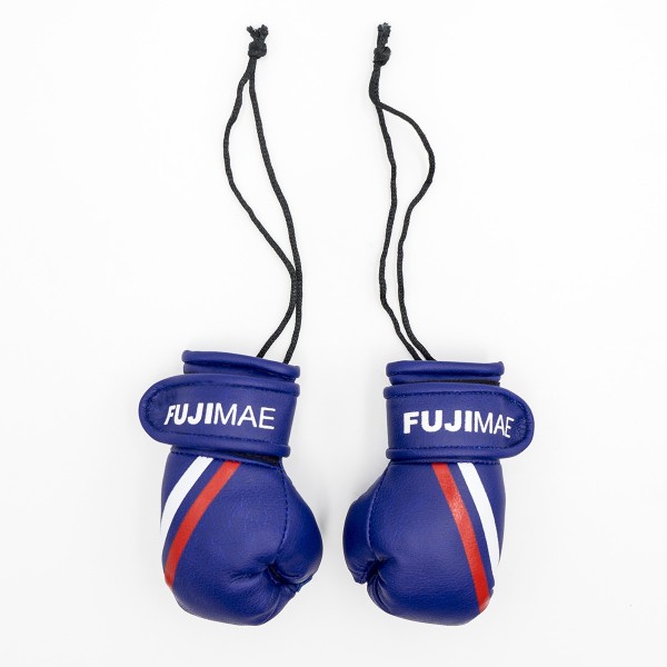 FUJIMAE Replica Boxing Gloves 