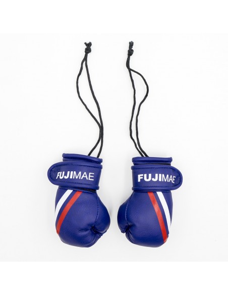 FUJIMAE Replica Boxing Gloves 