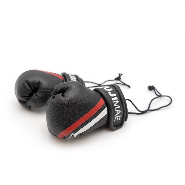 FUJIMAE Replica Boxing Gloves 