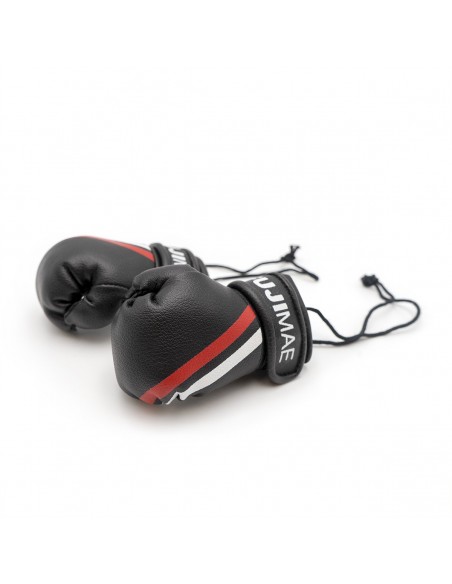 FUJIMAE Replica Boxing Gloves 