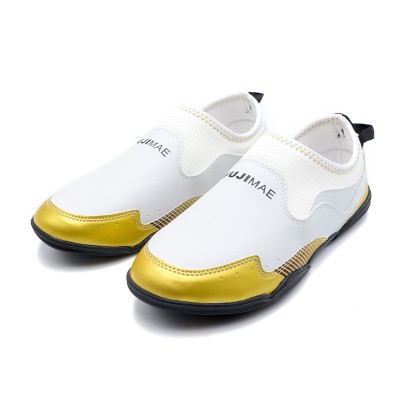 Chaussures Entraînement Tae v2  2