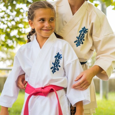Martial Arts Belt. Styles  2