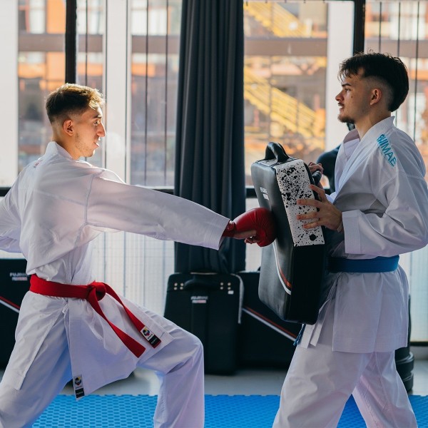 ProSeries Low Kick Shield