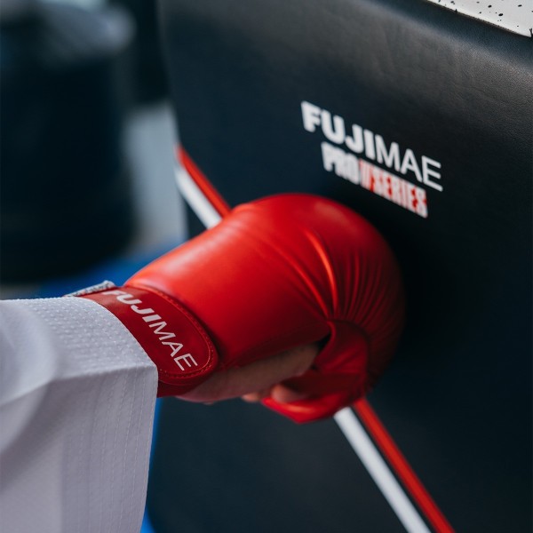 ProSeries Low Kick Shield