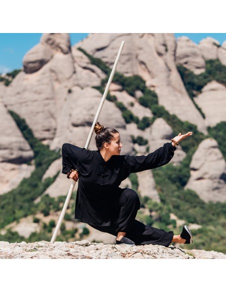 Wu Shu-pistool  Wu Shu-pistool
