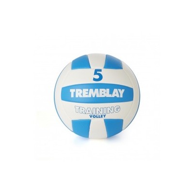 Volleyball TRAINING VOLLEY Taille 5