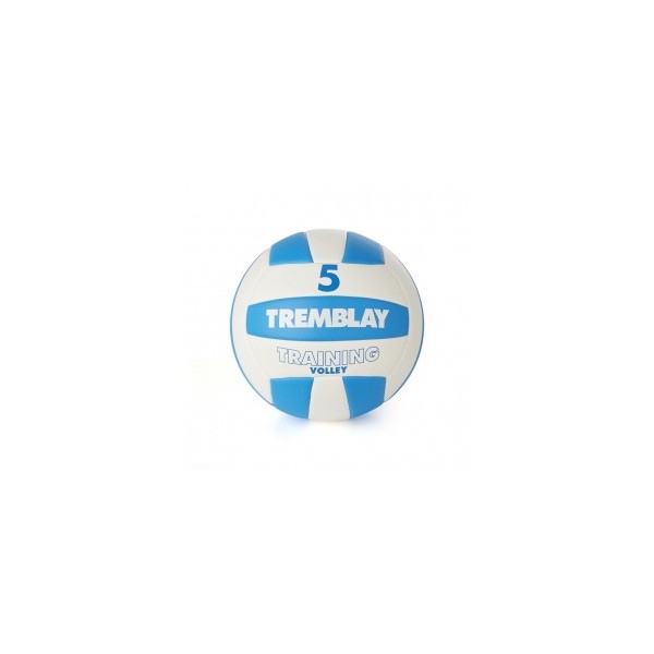Volleyball TRAINING VOLLEY Size 5 