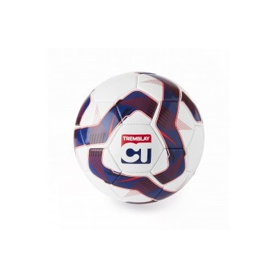 TRAINING voetbalbal maat 5
