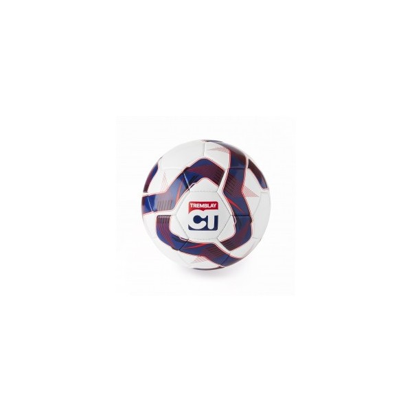 Ballon football TRAINING Taille 5 