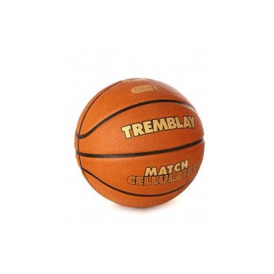 Basketball CELLULAR MATCH Size 6
