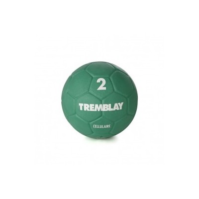 Handball CELLULAIRE'HAND Taille 2