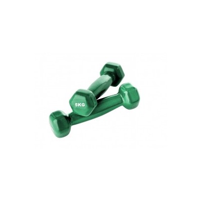 Haltère - 5 kg x 2