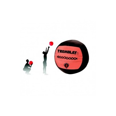 Wall ball 8 kg