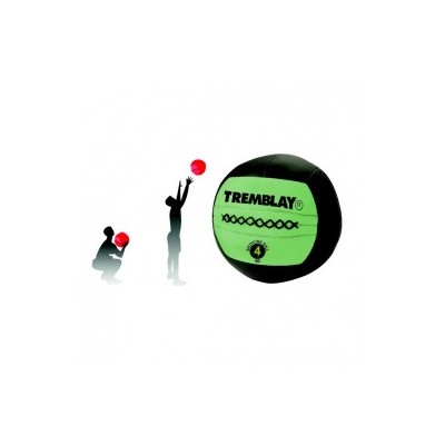 Wall ball 4 kg